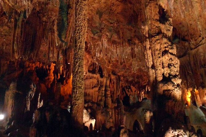 Alanya Highlights Sapadere Waterfalls, Dim Cave & Dim River - Walking Through Sapadere Canyon and Wildlife Spotting