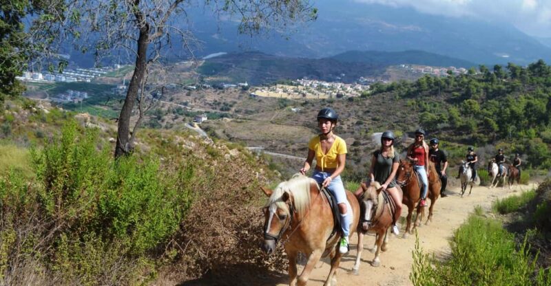 Alanya: Horse Riding Club Transfer Service - Key Points