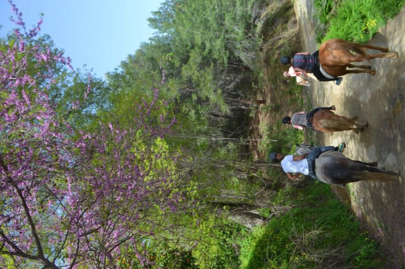 Alanya: Horse Riding Club Transfer Service - The Foam Party and Additional Entertainment