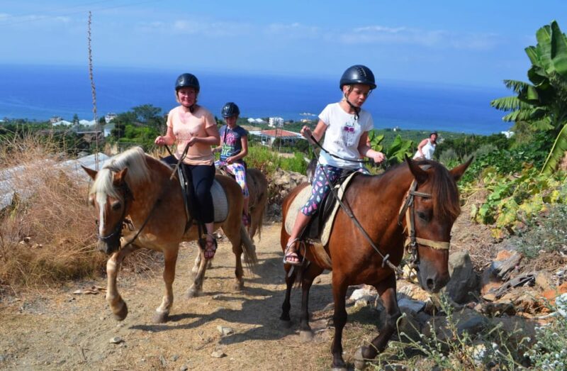 Alanya: Horse Riding Club Transfer Service - Summary of the Experiences Strengths and Limitations