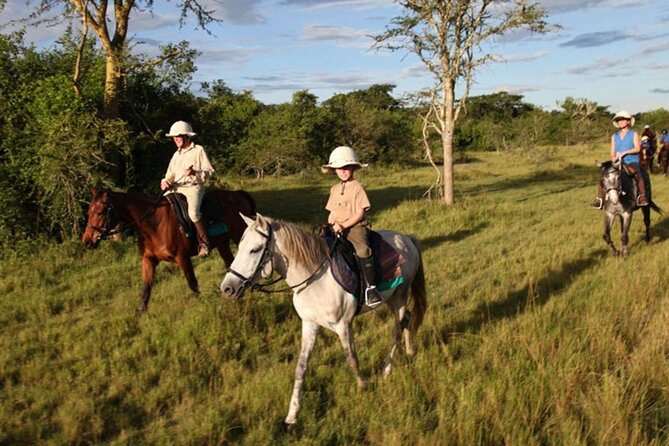 Alanya Horse Riding Experience - Key Points