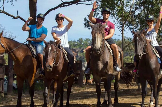 Alanya Horse Riding Experience With Free Hotel Transfer - The Experience from the Horses Perspective