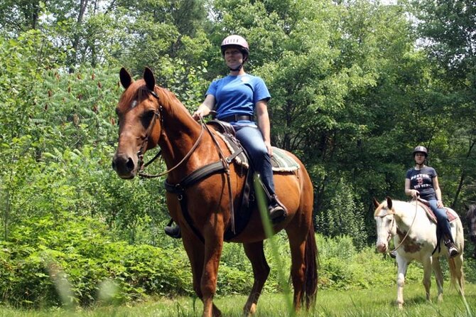 Alanya Horse Riding Experience With Free Hotel Transfer - The Scenic Stops: Syedra and the Village