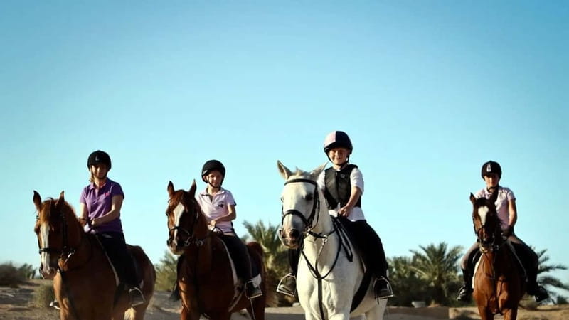 Alanya: Horse Riding Tour with Hotel Transfers - The Rescued Horses and Their Care