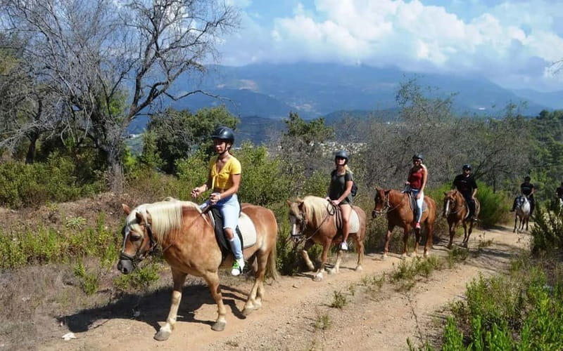 Alanya: Horse Riding Tour with Hotel Transfers - Practical Details: Booking, Duration, and Group Size