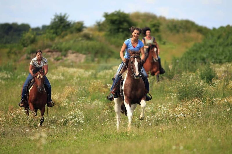 Alanya: Horseback Ride Through Nature near Syedra Ruins - Key Points