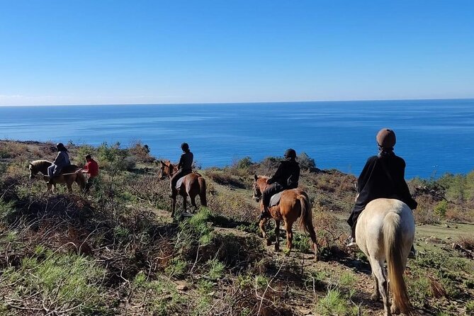 Alanya Horseback Riding in the Taurus Mountains with Transfer - The Trail: Forests, Meadows, and Coastal Views