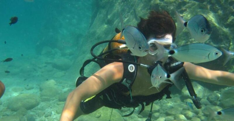 Alanya: Scuba Diving Experience with Lunch - Explore the Crystal Waters of the Turkish Riviera with Professional Guidance