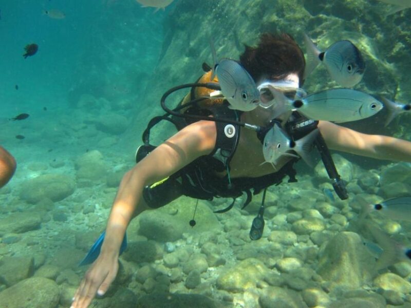 Alanya: Scuba Diving Experience with Lunch - What Makes This Alanya Scuba Tour Stand Out