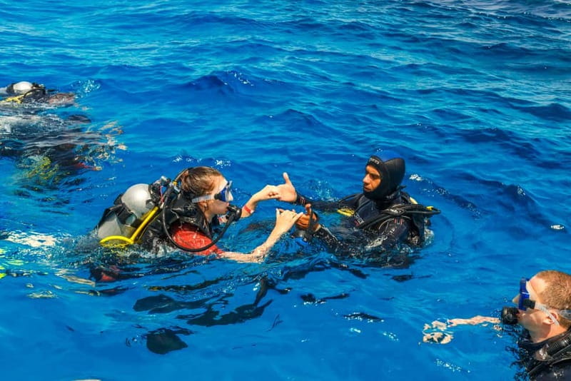 Alanya: Scuba Diving Tour Incl. Lunch with Hotel Transfer - Spectacular Underwater Scenery and Snorkeling Opportunities