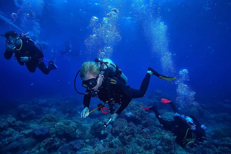 Alanya: Scuba Diving Tour with Lunch and Hotel Transfers - Discover the Underwater Secrets of Alanya with a Guided Scuba Dive