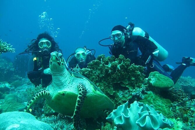 Alanya Scuba Diving With Lunch and Transfer - Dive Sites Suitable for All Skill Levels