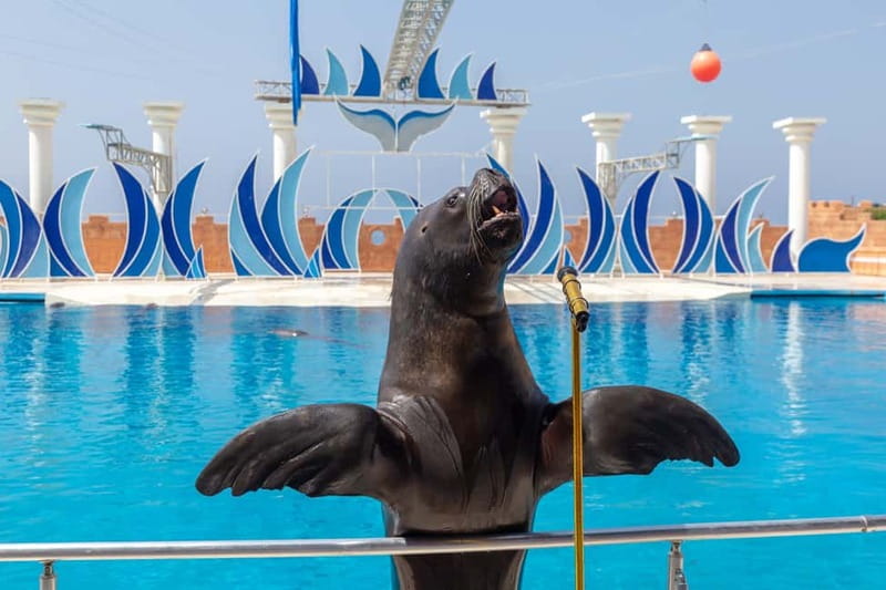 Alanya: Sealanya Dolphinpark Dolphin Show Tour - Discover the Excitement of the Sealanya Dolphinpark in Alanya