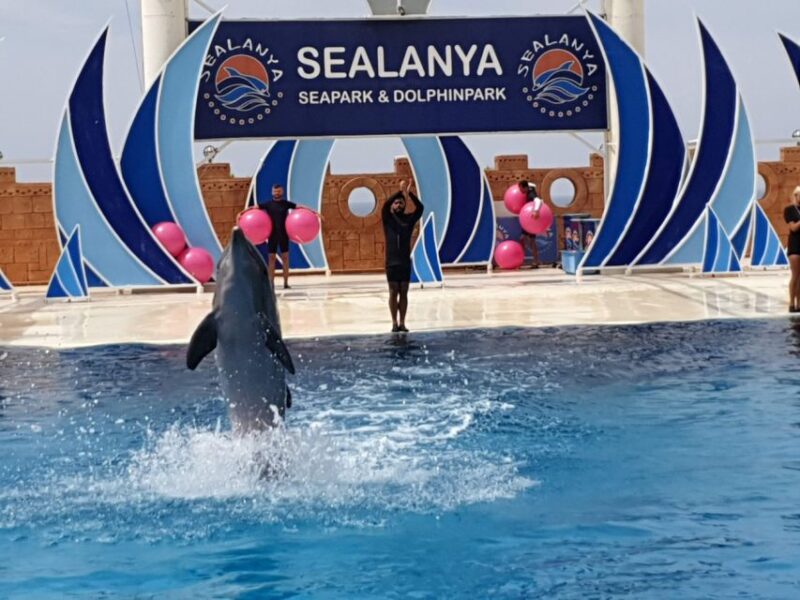 Alanya: Sealanya Dolphinpark Dolphin Show Tour - What Is Not Included in the Tour