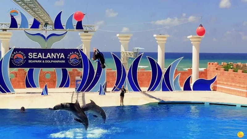 Alanya: Sealanya Dolphinpark Dolphin Show Tour - The Experience of Watching the Dolphin and Seal Performances