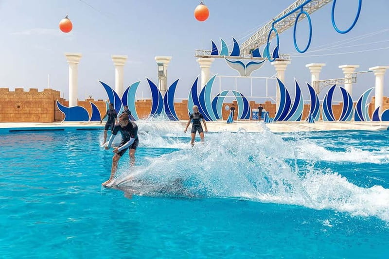 Alanya: Sealanya Dolphinpark Dolphin Show Tour - Comparing Similar Experiences in Alanya