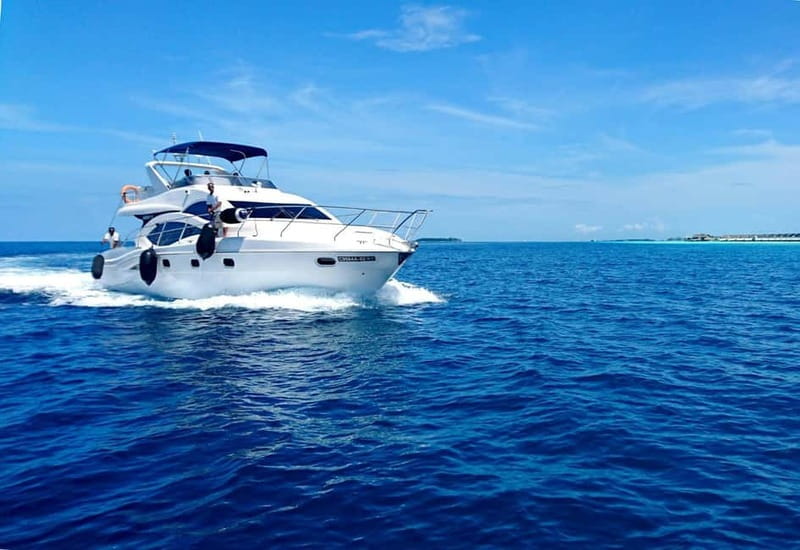 Alanya/Side/Belek:Luxury yacht tour for your special moments - Logistics and Flexibility of Booking