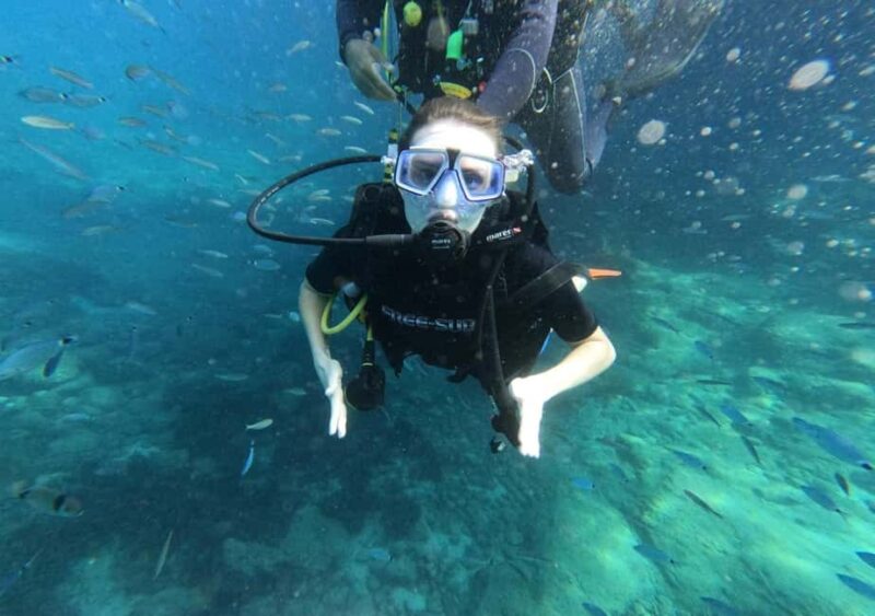 Alanya: Turtle Island Scuba Diving (2 Dives) - Two Guided Dives in Crystal-Clear Waters