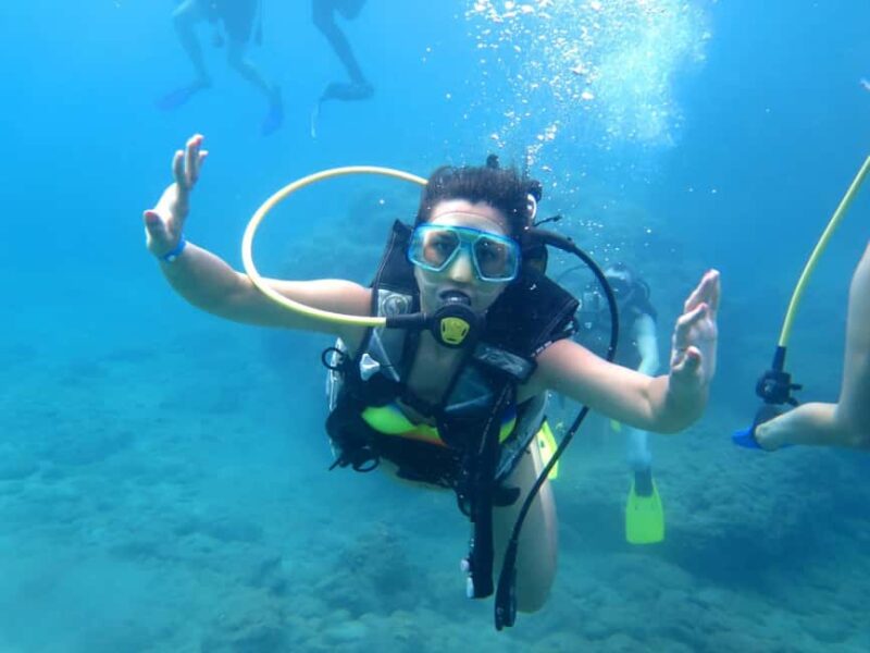Alanya: Turtle Island Scuba Diving (2 Dives) - Who Will Enjoy This Tour the Most