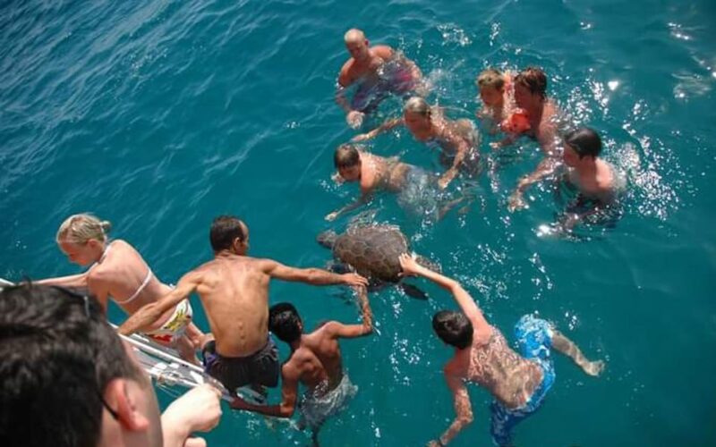 Alanya:Catamaran Tour with Lunch&Soft Drinks Animation Shows - Experience Thrilling Dives and Pirates Cave Adventures