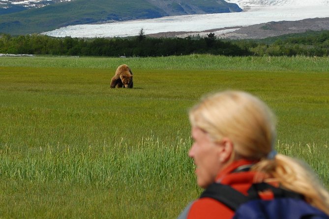 Alaska Bear-Viewing Day Trip from Homer - Wildlife Observation and Bear Behavior