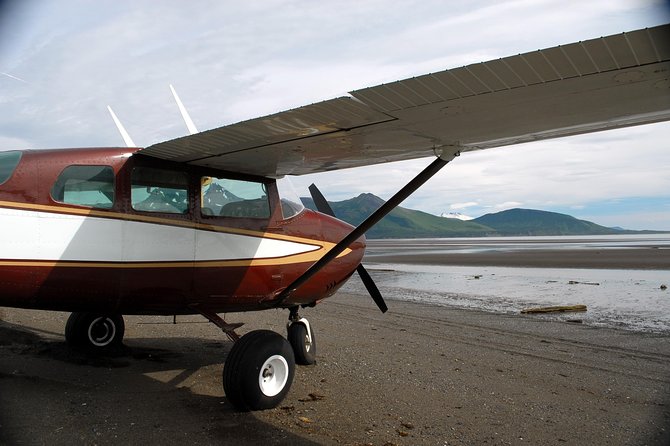 Alaska Bear-Viewing Day Trip from Homer - Practical Details: Meeting Point and Physical Requirements
