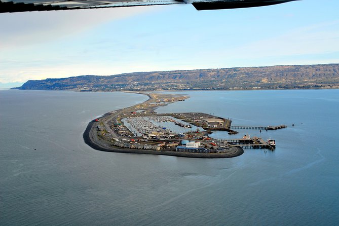 Alaska Bear-Viewing Day Trip from Homer - Included and Excluded in the Tour