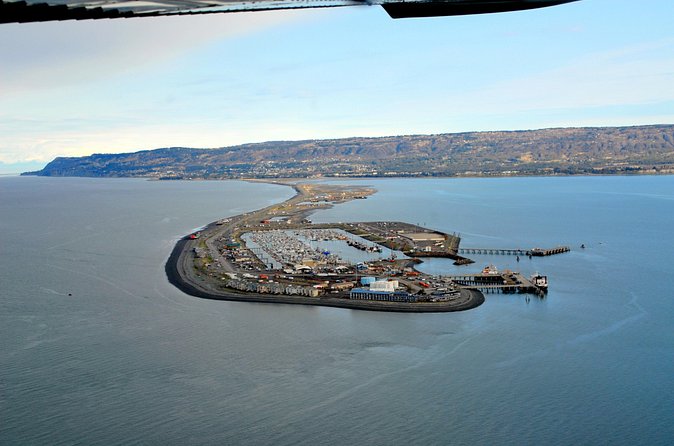 Alaska Bear-Viewing Day Trip from Homer - The Experience with Adventure Airways