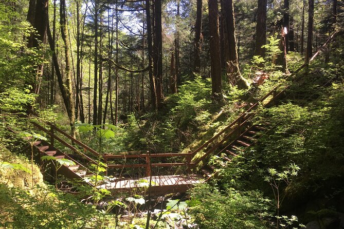 Alaska Bigfoot Adventures - Starting Point and Booking Convenience in Ketchikan