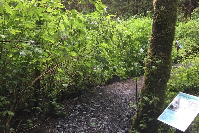 Alaska Bigfoot Adventures - Food and Refreshments on the Tour