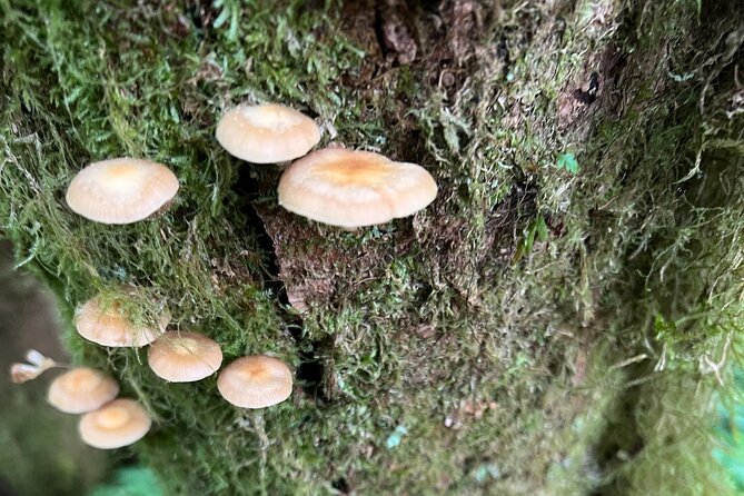 Alaska Bigfoot Adventures - Physical Requirements and Accessibility