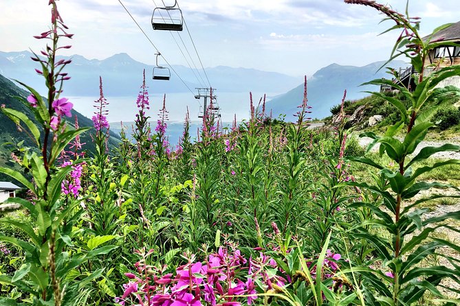 Alaska Crafted Tour and Cruise Transfer- Port of Seward - Key Points