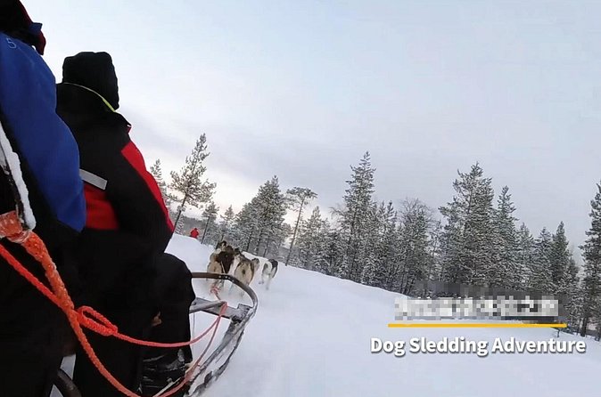 Alaska Dog Sled or ATV Ride in Fairbanks - Included Services and Optional Tipping