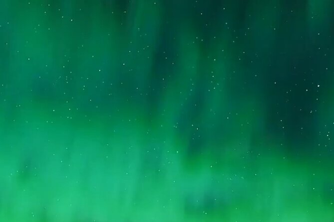 Alaska Dog Sled or ATV Ride in Fairbanks - Practical Tips for Participants