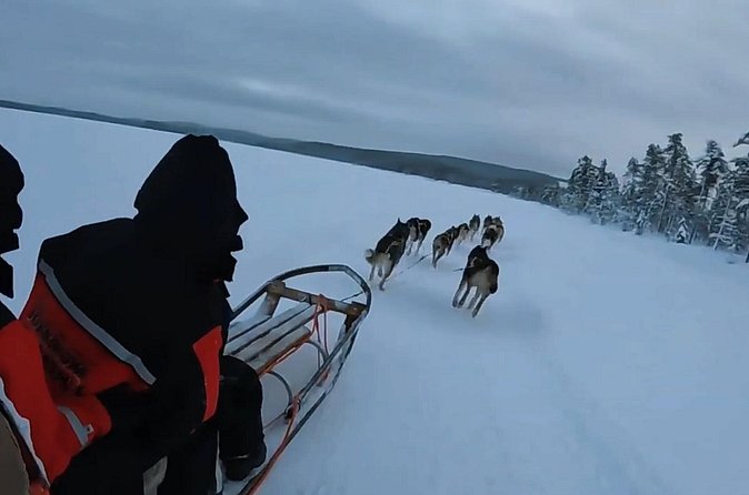 Alaska Dog Sled or ATV Ride in Fairbanks - The Best Fit for This Experience