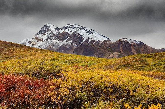 Alaska Fall Colors with Northern Lights 5 Days - Practical Details and Logistics
