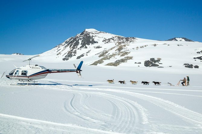 Alaska Helicopter and Glacier Dogsled Tour - ANCHORAGE AREA - Meet the Mushers and Dogs Up Close