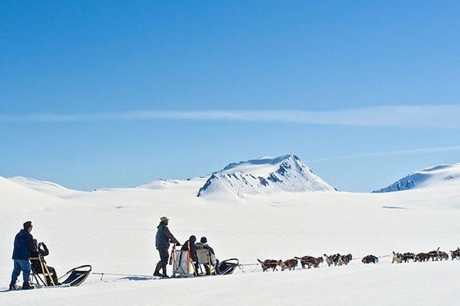 Alaska Helicopter and Glacier Dogsled Tour - ANCHORAGE AREA - Why This Tour Stands Out in Alaska