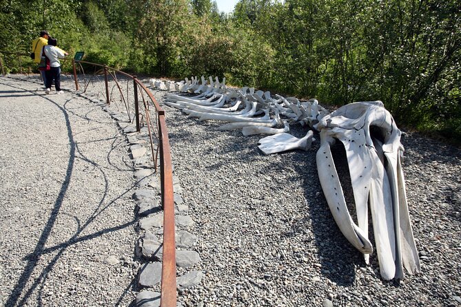 Alaska Native Heritage Center Admission Ticket - Visiting the Village Site and Native Dwellings