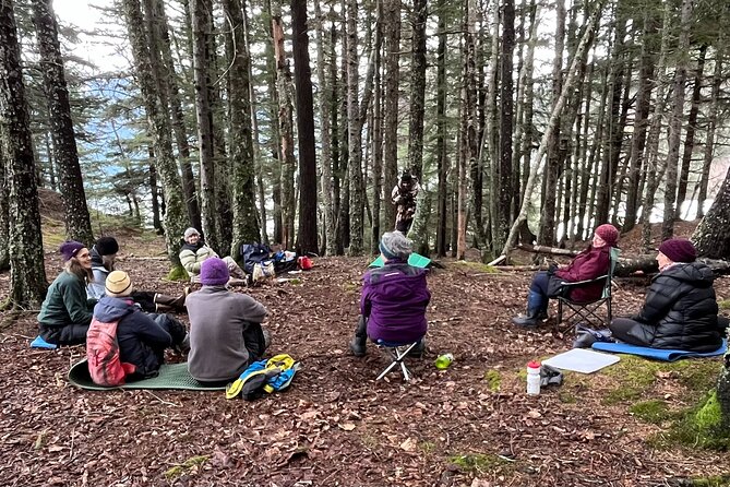 Alaska Nature Immersion: Forest Therapy Tour in Haines, Alaska - Key Points