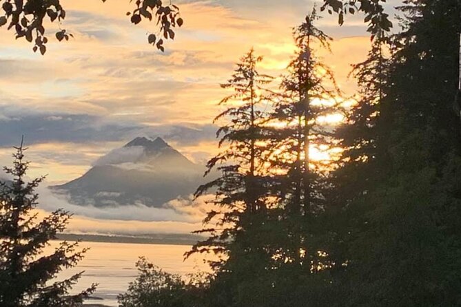 Alaska Nature Immersion: Forest Therapy Tour in Haines, Alaska - Physical and Accessibility Considerations