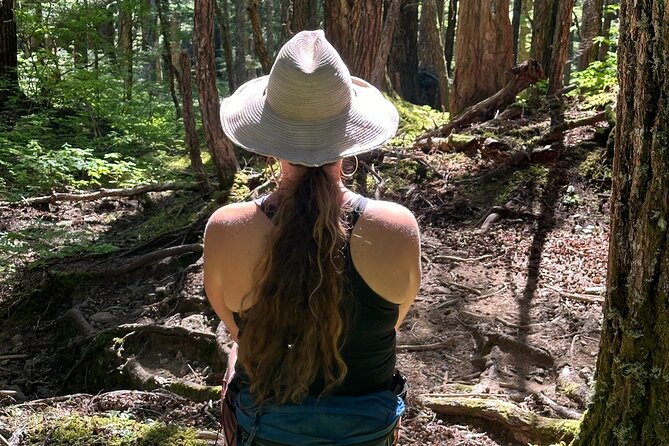 Alaska Nature Immersion: Forest Therapy Tour in Haines, Alaska - Weather Conditions and What to Wear