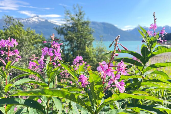 Alaska Nature Immersion: Forest Therapy Tour in Haines, Alaska - Cost, Booking, and Cancellation Policies