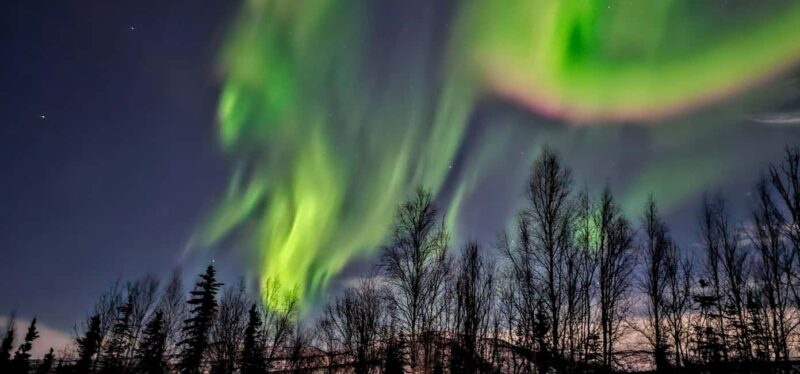 Alaska: Private Northern Lights Viewing Tour - Inside the Vehicle: Comfort and Convenience