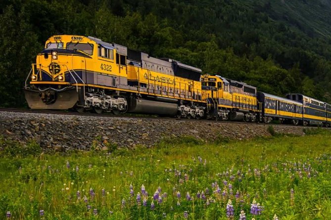 Alaska Railroad Anchorage to Seward One Way - The Seward Arrival and Local Exploration Options