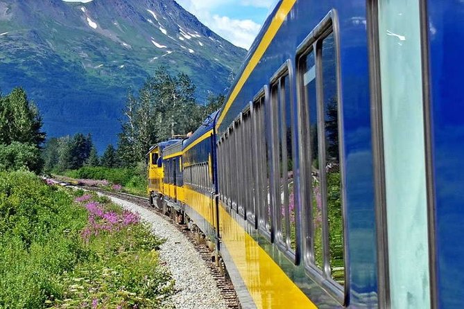 Alaska Railroad Anchorage to Seward One Way - Final Thoughts: Who Will Enjoy This Tour?
