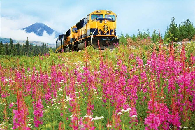 Alaska Railroad Anchorage to Seward Round-Trip Same Day Return - The Departure and Arrival Points in Anchorage and Seward
