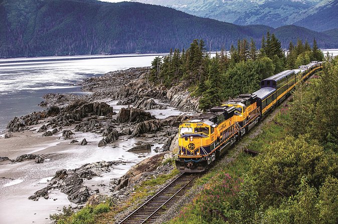 Alaska Railroad Anchorage to Seward Round-Trip Same Day Return - Exploring Seward at Your Leisure