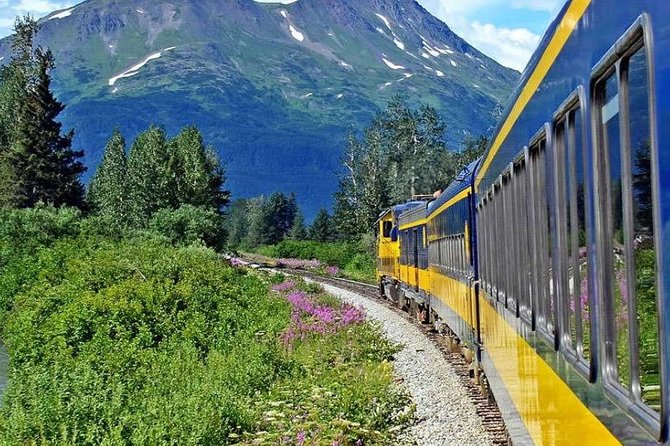 Alaska Railroad Anchorage to Seward Round-Trip Same Day Return - The Value of This Alaska Railroad Tour