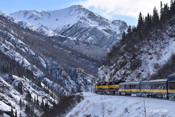 Alaska Railroad Aurora Winter Anchorage to Fairbanks One Way - Practical Details: Meeting Points and Timing